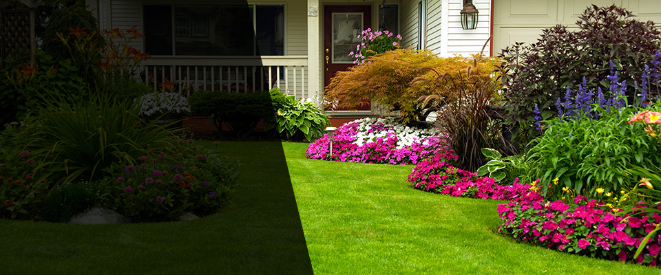 Rockville Landscapers